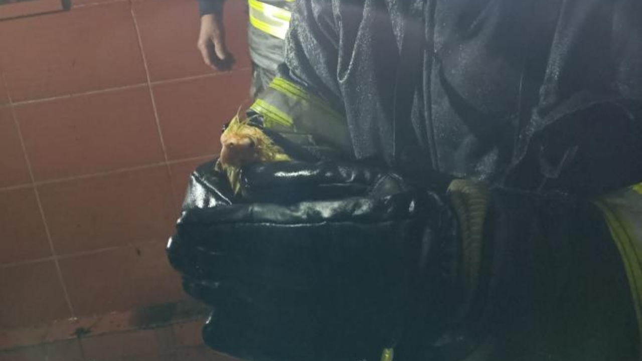 Alevlerin Ortasında Kaldı Minik Can Için Zamanla Yarışıldı (4)