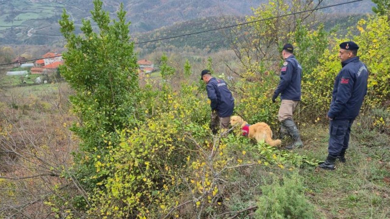 Bartın Yaşlı Kadın (1)