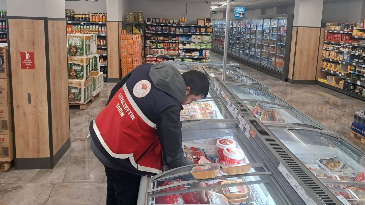 Çatalzeytin Denetim (3)-3