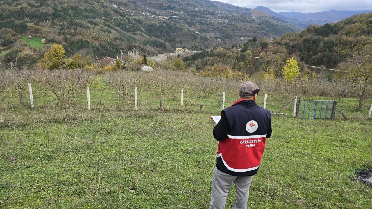Çatalzeytin Ürün Beyan Doğrulama (2)