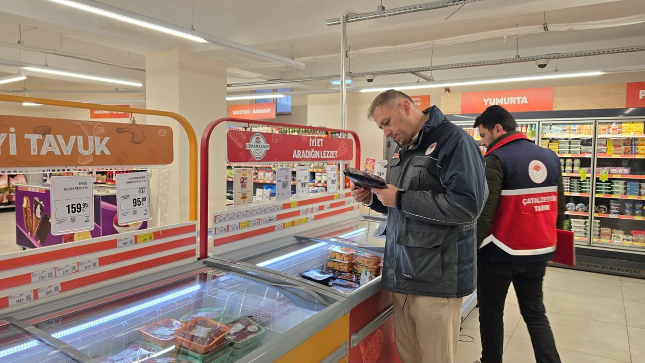 Çatalzeytin Yılmaşı Denetim (7)