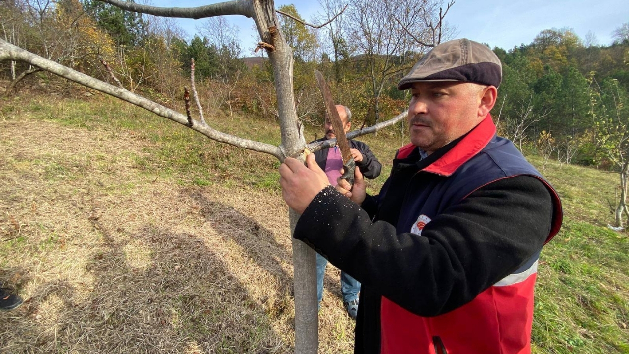 Çatalzeytin’de Çiftçilere Budama Ve Fide Eğitimi Verildi (1)