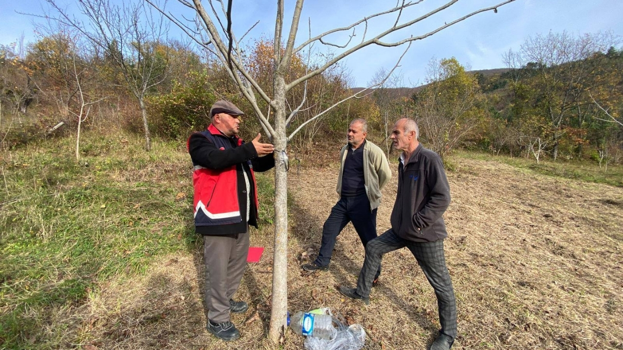 Çatalzeytin’de Çiftçilere Budama Ve Fide Eğitimi Verildi (4)