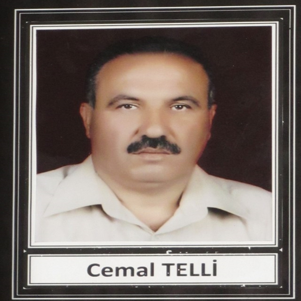 Cemal Telli Köy (2)