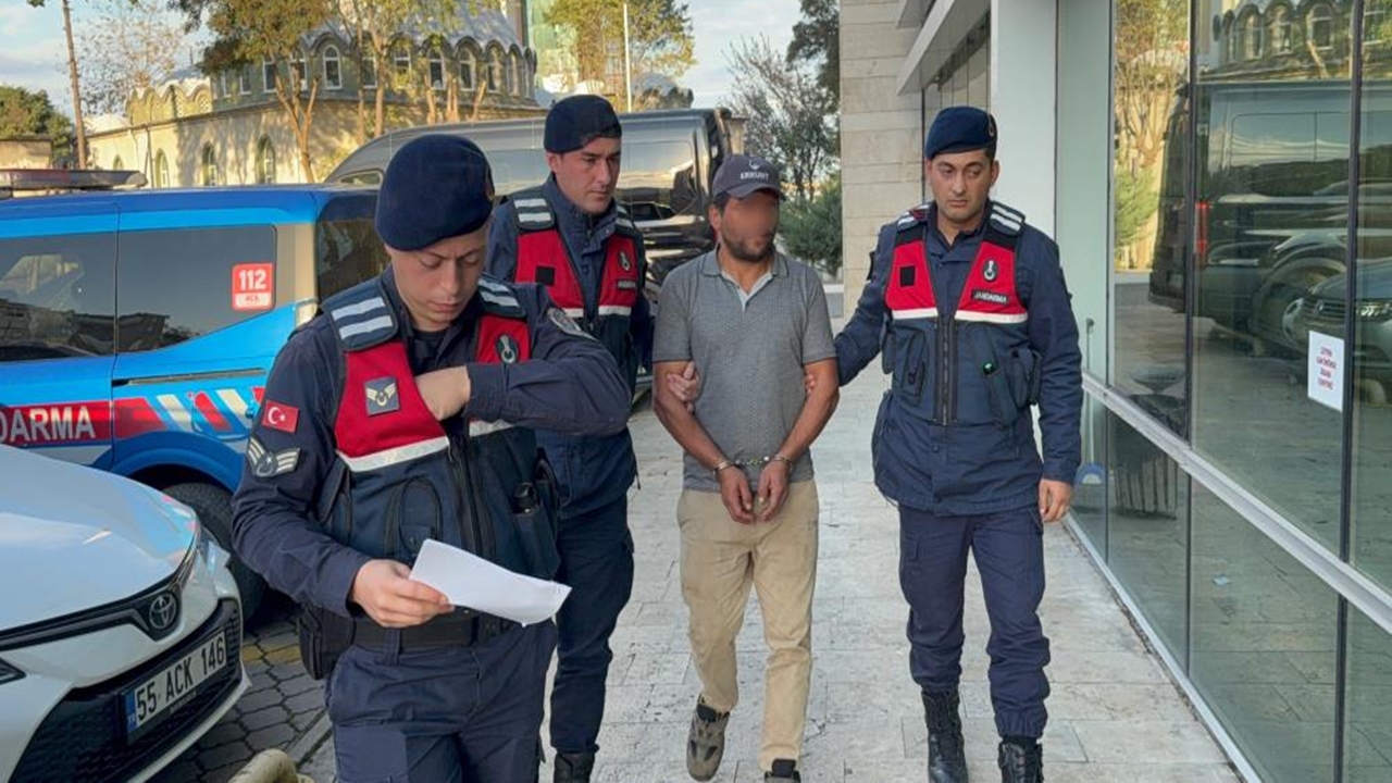 Devrilen Ağaç Can Aldı (2)