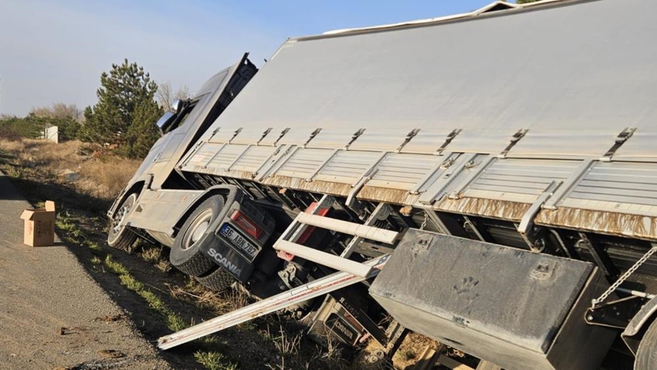 Hayvan Telef Oldu (2)