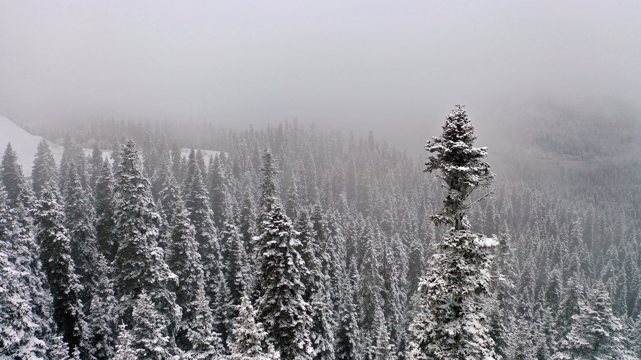 Ilgaz Dağı Havadan Görüntü Kar Yağdı (1)