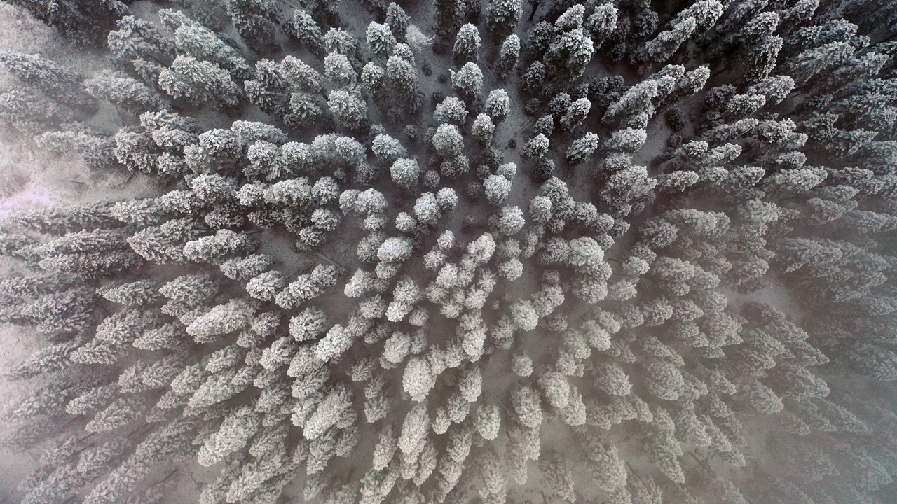 Ilgaz Dağı Havadan Görüntü Kar Yağdı (4)