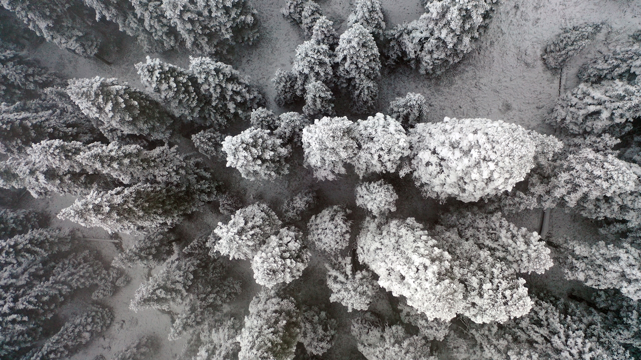 Ilgaz Dağı Havadan Görüntü Kar Yağdı (5)