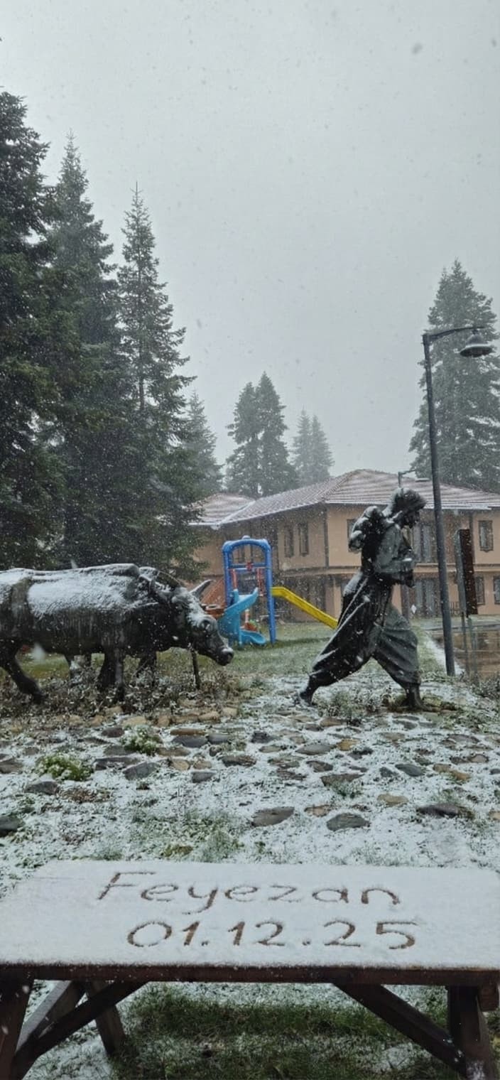 Ilgaz Kar Yaşığı (2)