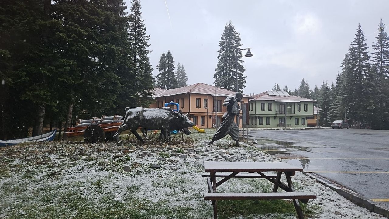 Ilgaz Kar Yaşığı (3)