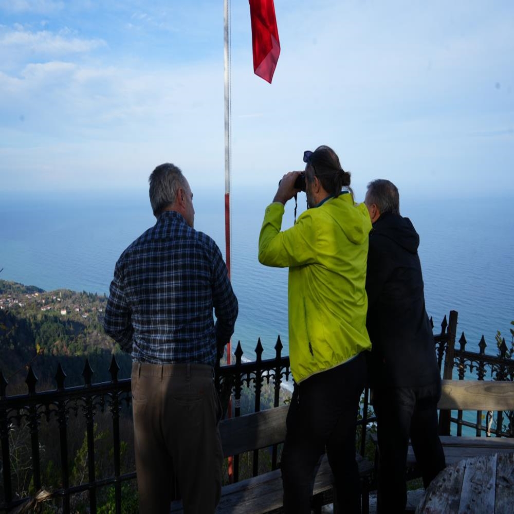 Inebolu Teras Köy (1)