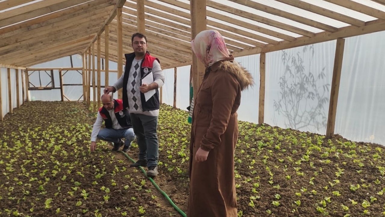 İnebolu’da Seralara Teknik Inceleme (1)