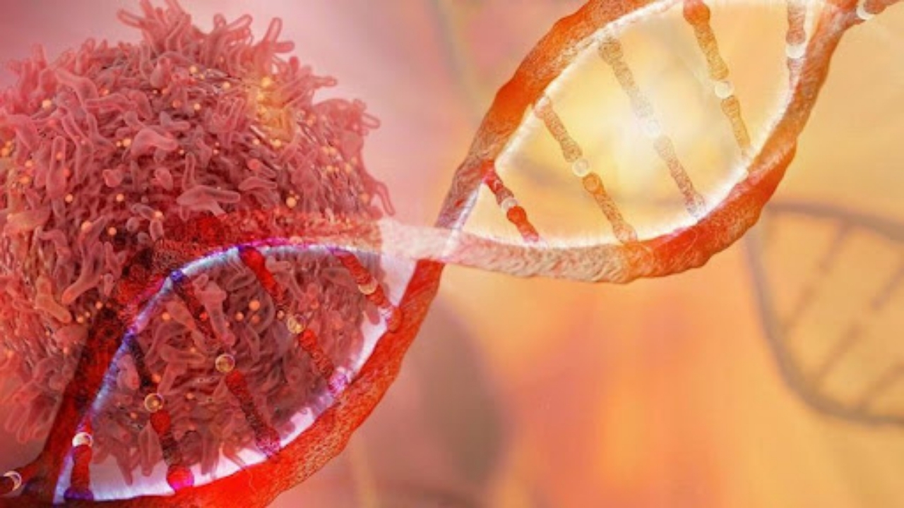 Kanserden Ölüm Oranı En Yüksek Iller Açıklandı Liste Şaşırttı (1)