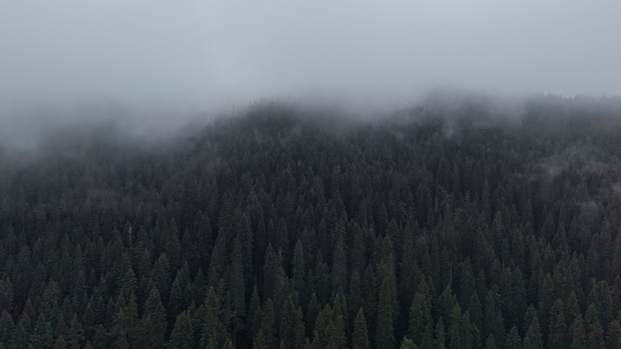 Kastamonu Ilgaz Dağı Giriş (6)