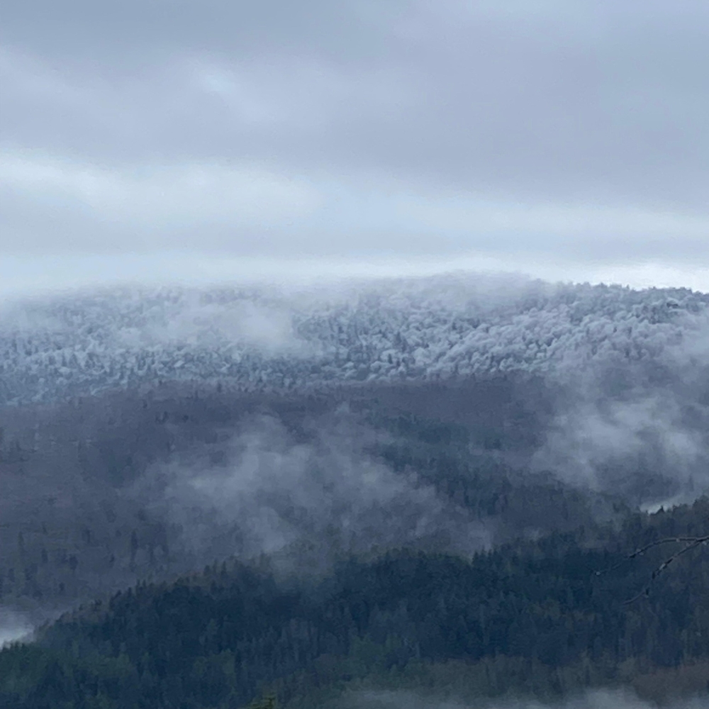 Kastamonu Inebolu Kar (2)