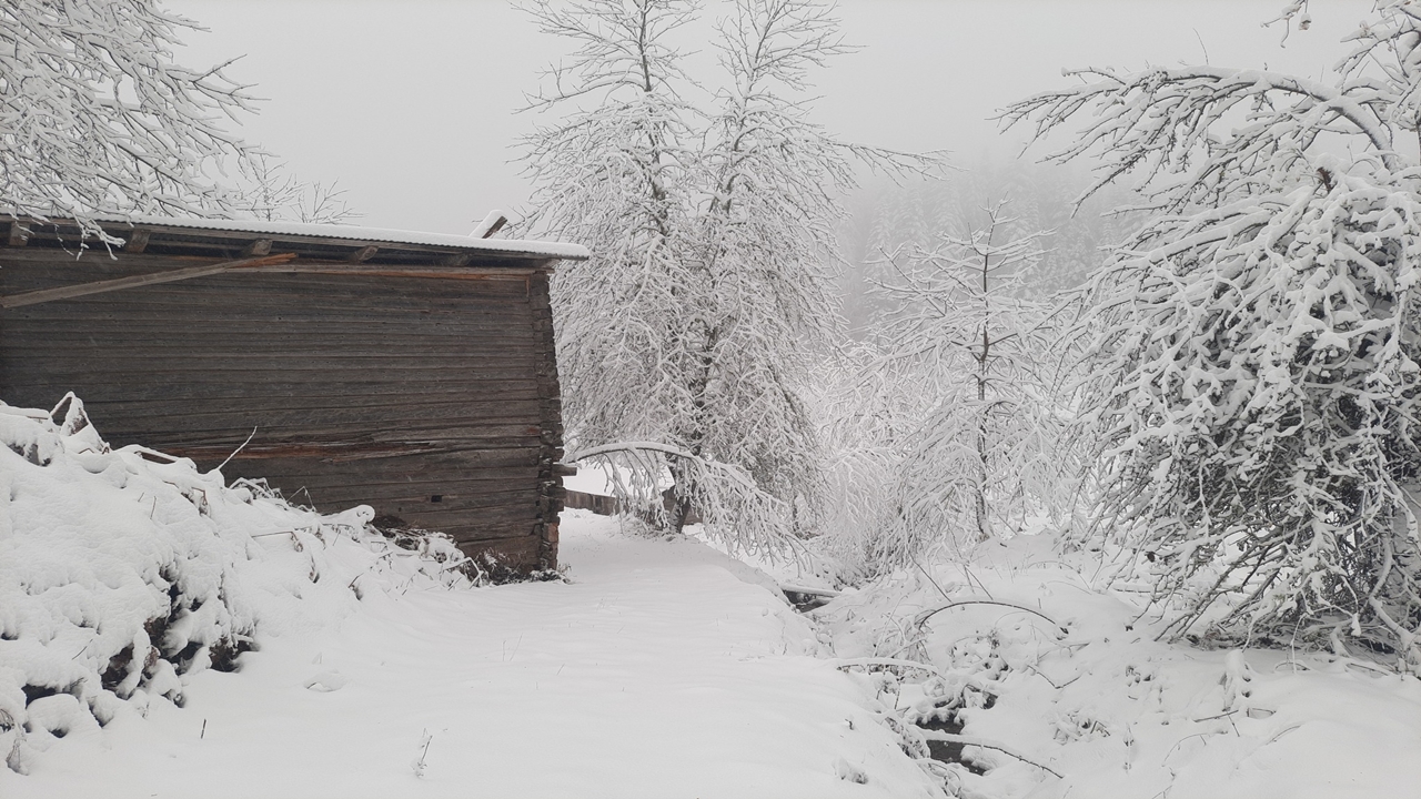 Kastamonu Inebolu Kar Manzarası (1)