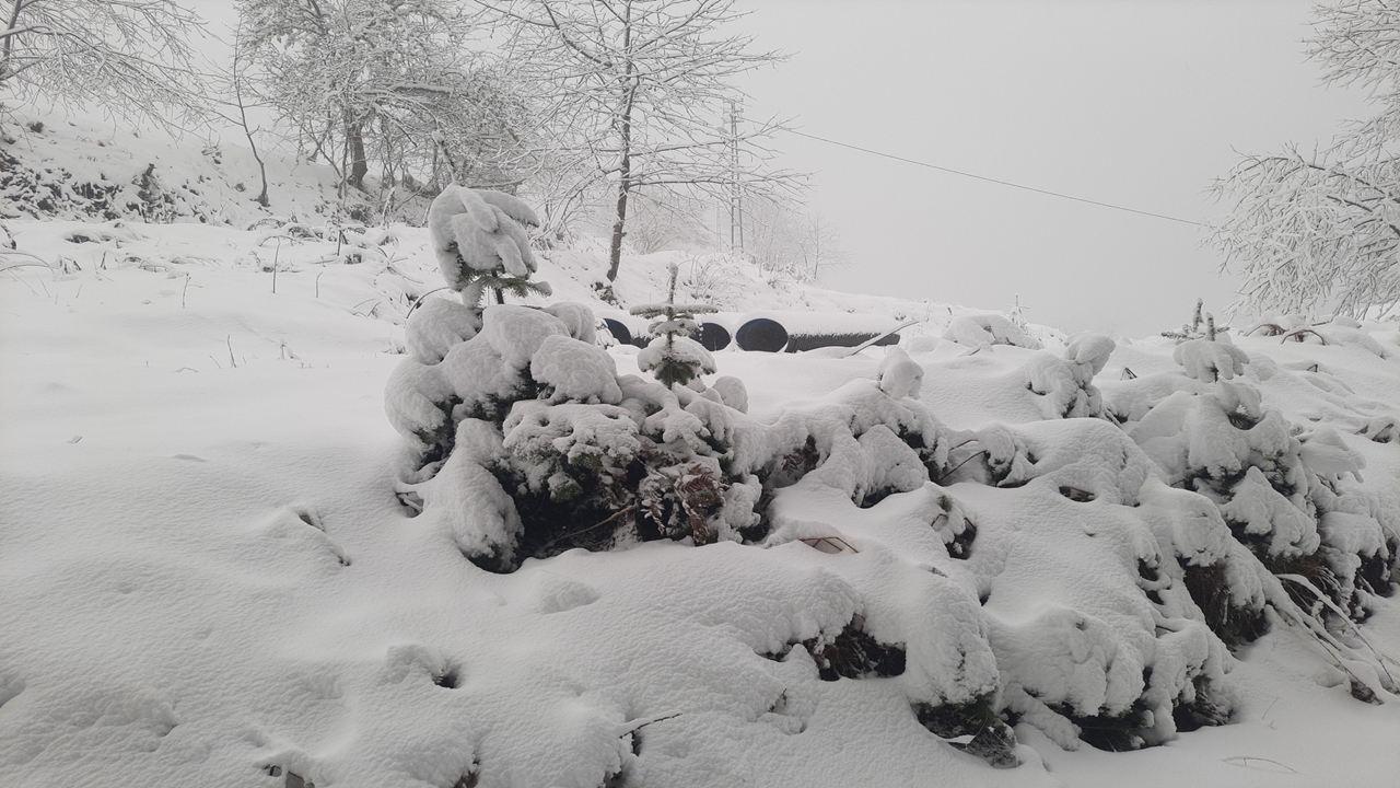 Kastamonu Inebolu Kar Manzarası (3)