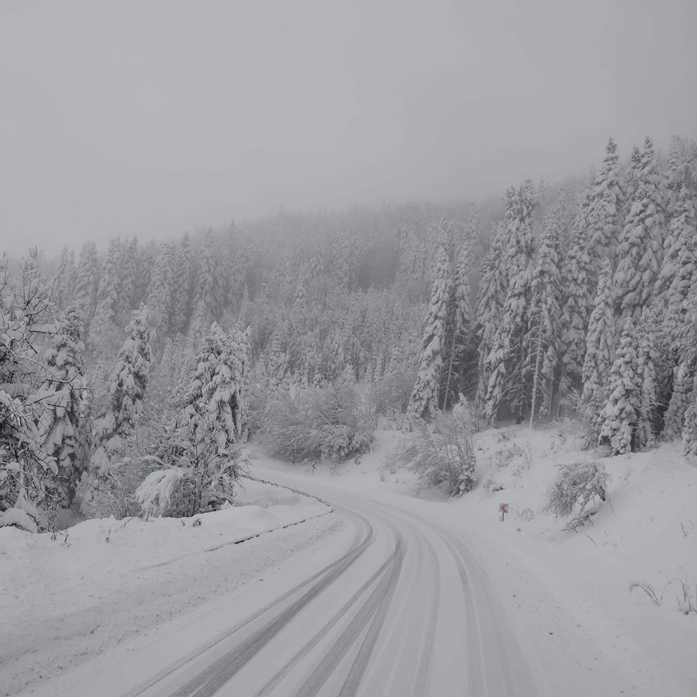 Kastamonu Kar Yağışı Yaralı Göz (3)