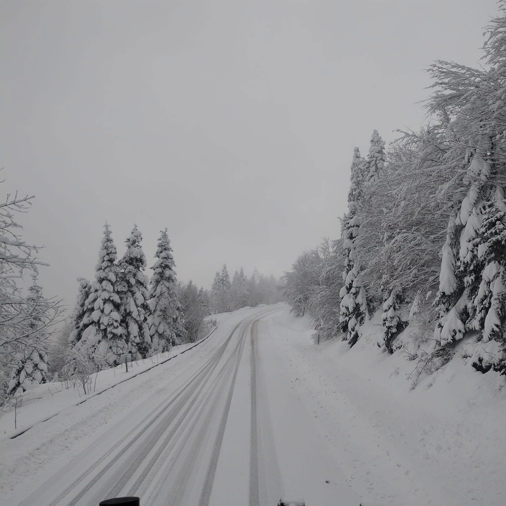 Kastamonu Kar Yağışı Yaralı Göz (4)