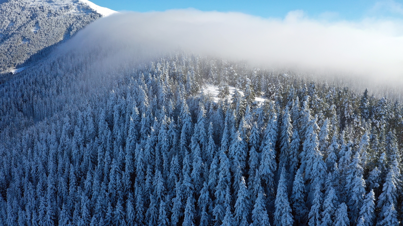 Kastamonu Küre Kar Yağışı Manzara (2)