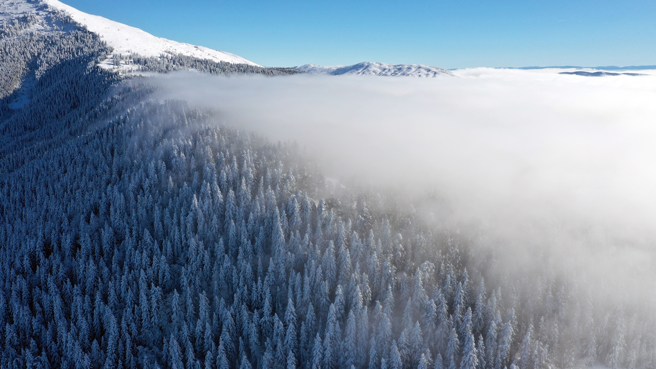 Kastamonu Küre Kar Yağışı Manzara (4)