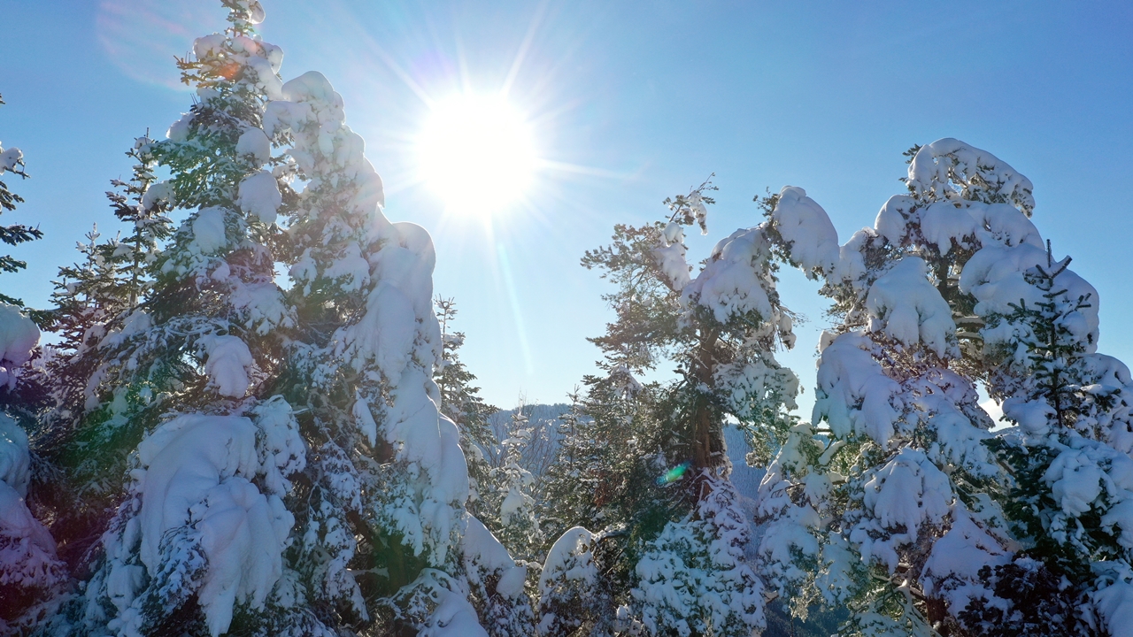 Kastamonu Küre Kar Yağışı Manzara (6)