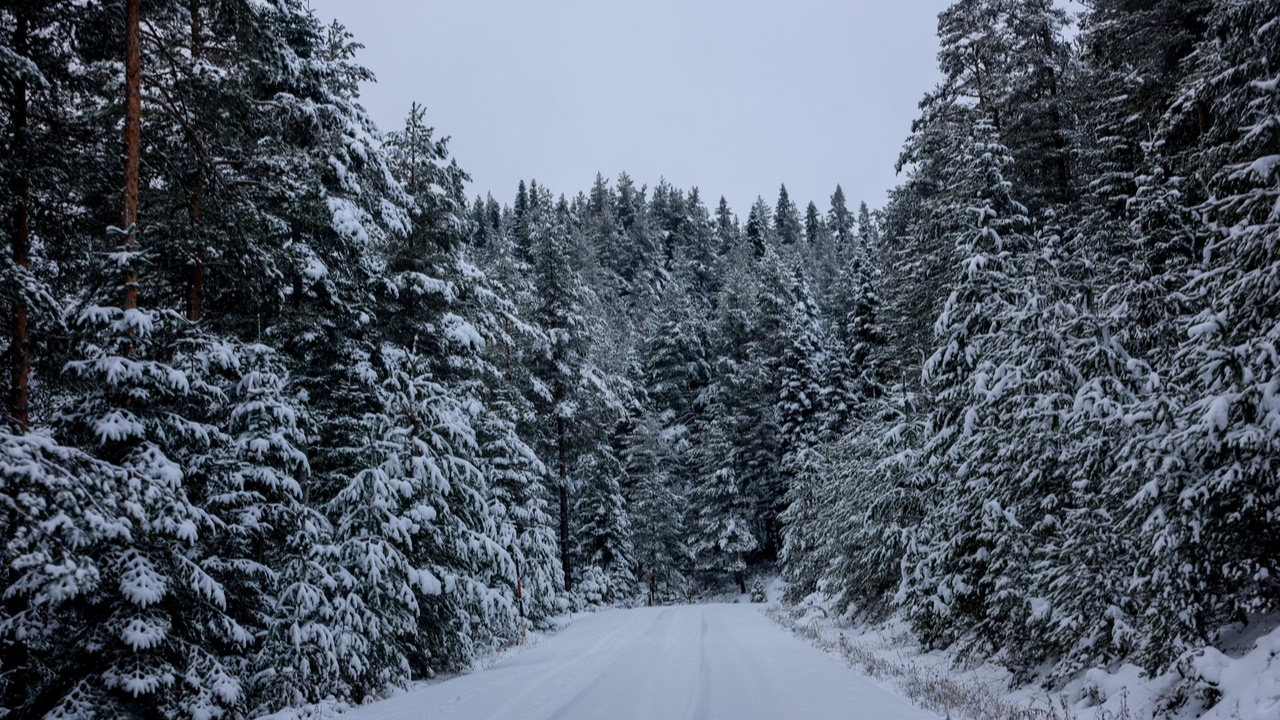 Kastamonu Taşköprü Beyaz Örtü Kar Yağışı (11)
