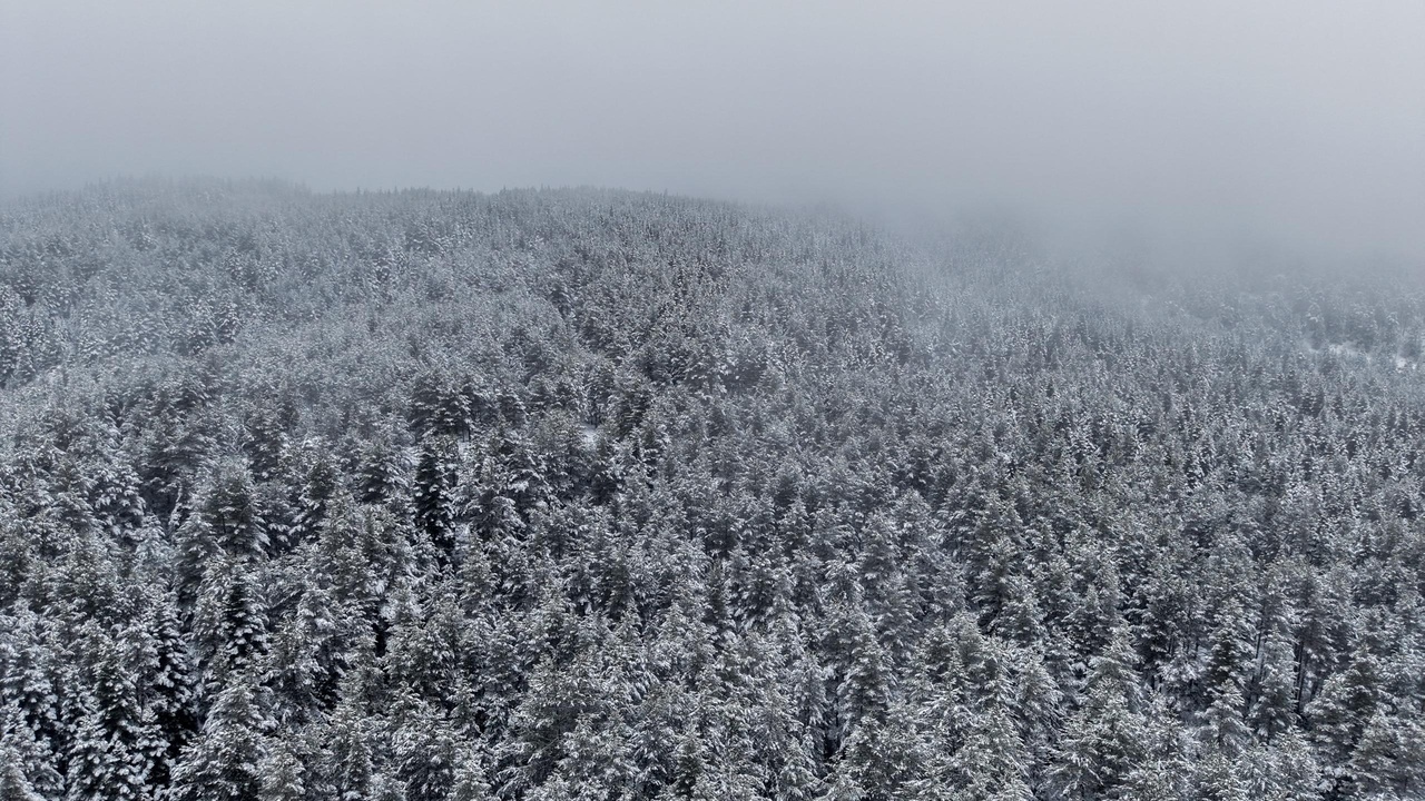 Kastamonu Taşköprü Beyaz Örtü Kar Yağışı (4)