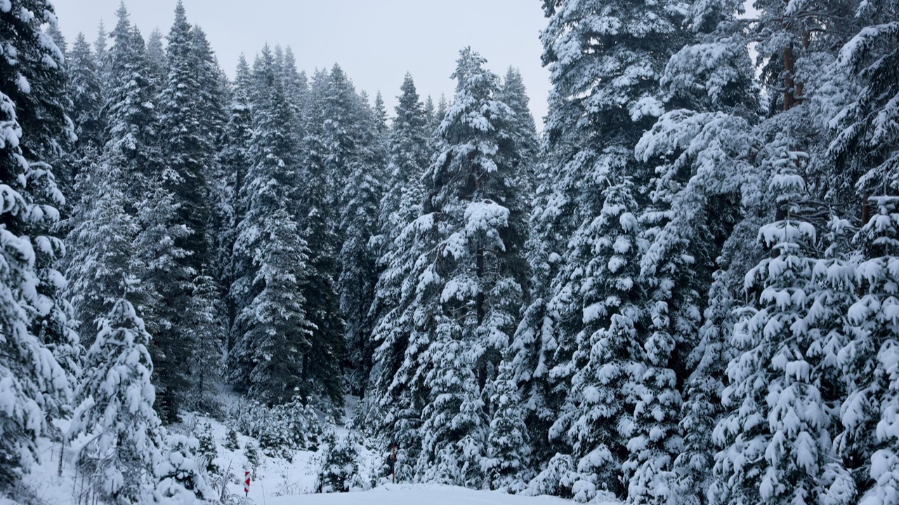 Kastamonu Taşköprü Beyaz Örtü Kar Yağışı (6)