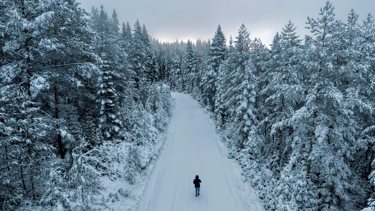 Kastamonu Taşköprü Beyaz Örtü Kar Yağışı (8)