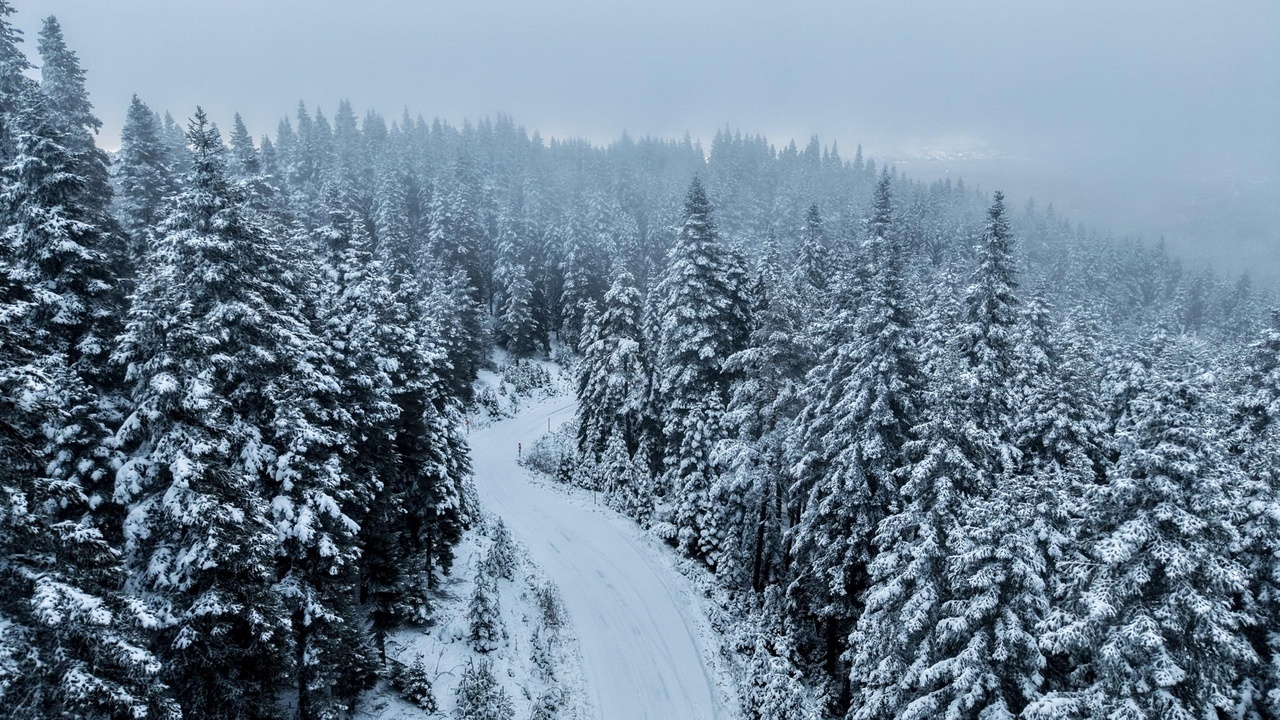 Kastamonu Taşköprü Beyaz Örtü Kar Yağışı (9)
