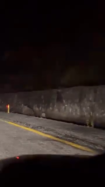 Kastamonu'da Anne Ayı Ve Yavrusu Görüntülendi Vatandaşlar Şaşkınlıkla Izledi! 2