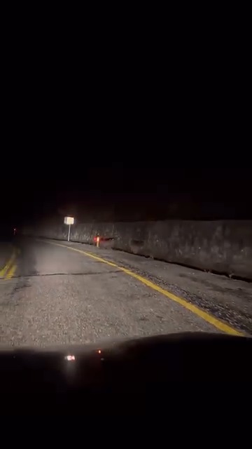 Kastamonu'da Anne Ayı Ve Yavrusu Görüntülendi Vatandaşlar Şaşkınlıkla Izledi! 4