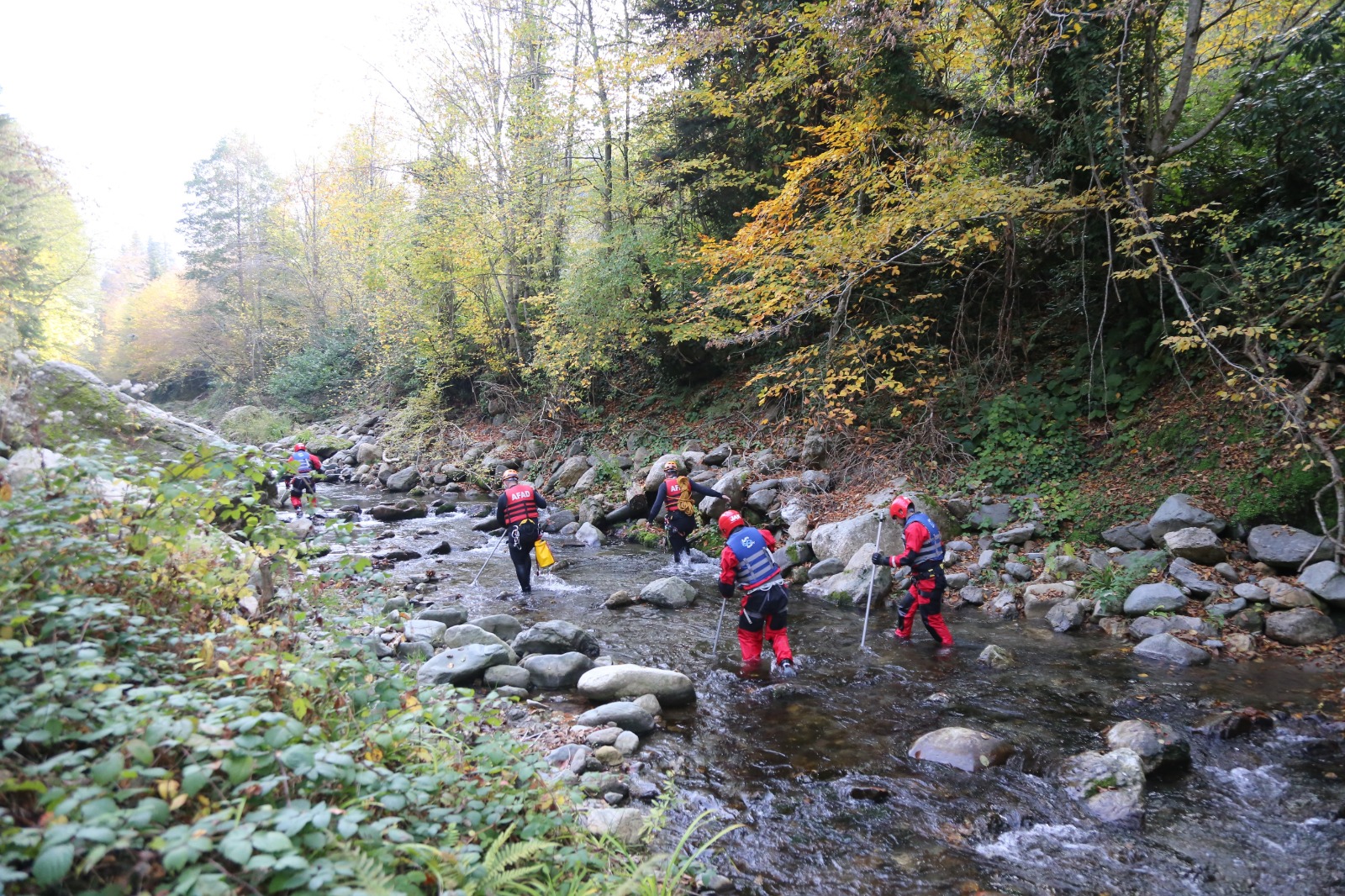 Kastamonu'da Anne Ve Oğlu Ölü Bulunmuştu! Otopsi Tamamlandı Ölüm Sebepleri Kesinleşti! 114