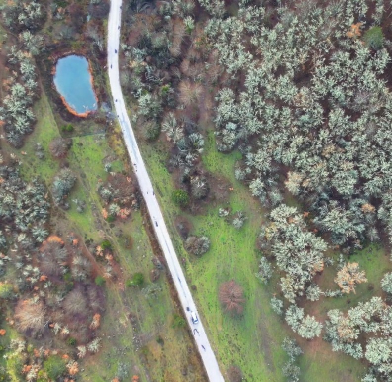Kastamonu'da Kaçak Avcılık Yapan 4 Kişi Yakalandı 3 Yarı Otomatik Tüfeğe El Konuldu! 11