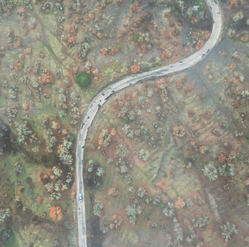 Kastamonu'da Kaçak Avcılık Yapan 4 Kişi Yakalandı 3 Yarı Otomatik Tüfeğe El Konuldu! 12