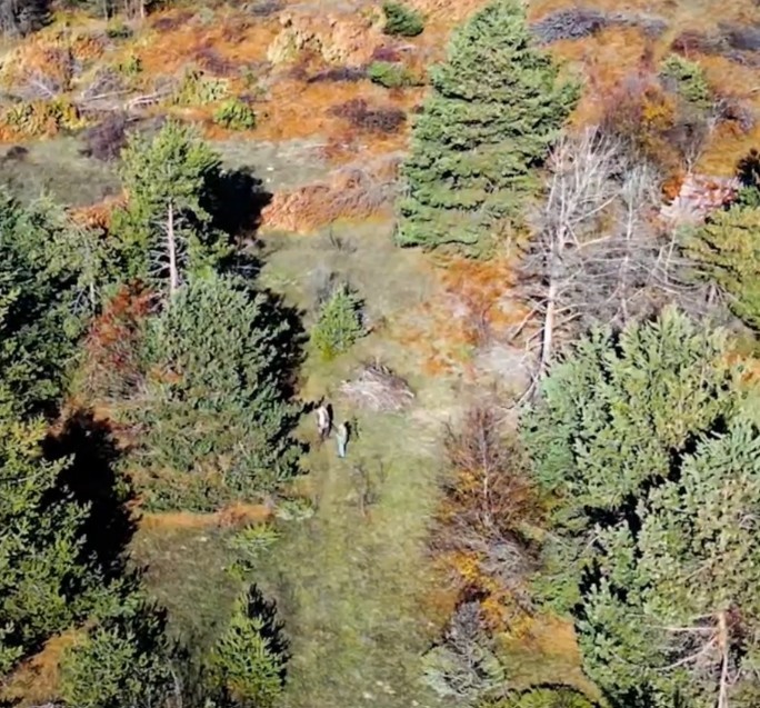 Kastamonu'da Kaçak Avcılık Yapan 4 Kişi Yakalandı 3 Yarı Otomatik Tüfeğe El Konuldu! 88