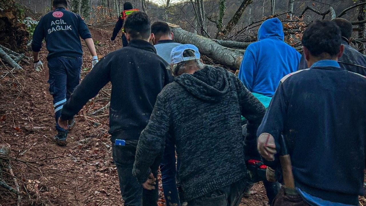 Kastamonu’da Korku Dolu Anlar Tomruğun Altında Kalan Vatandaş Kurtarıldı (2)