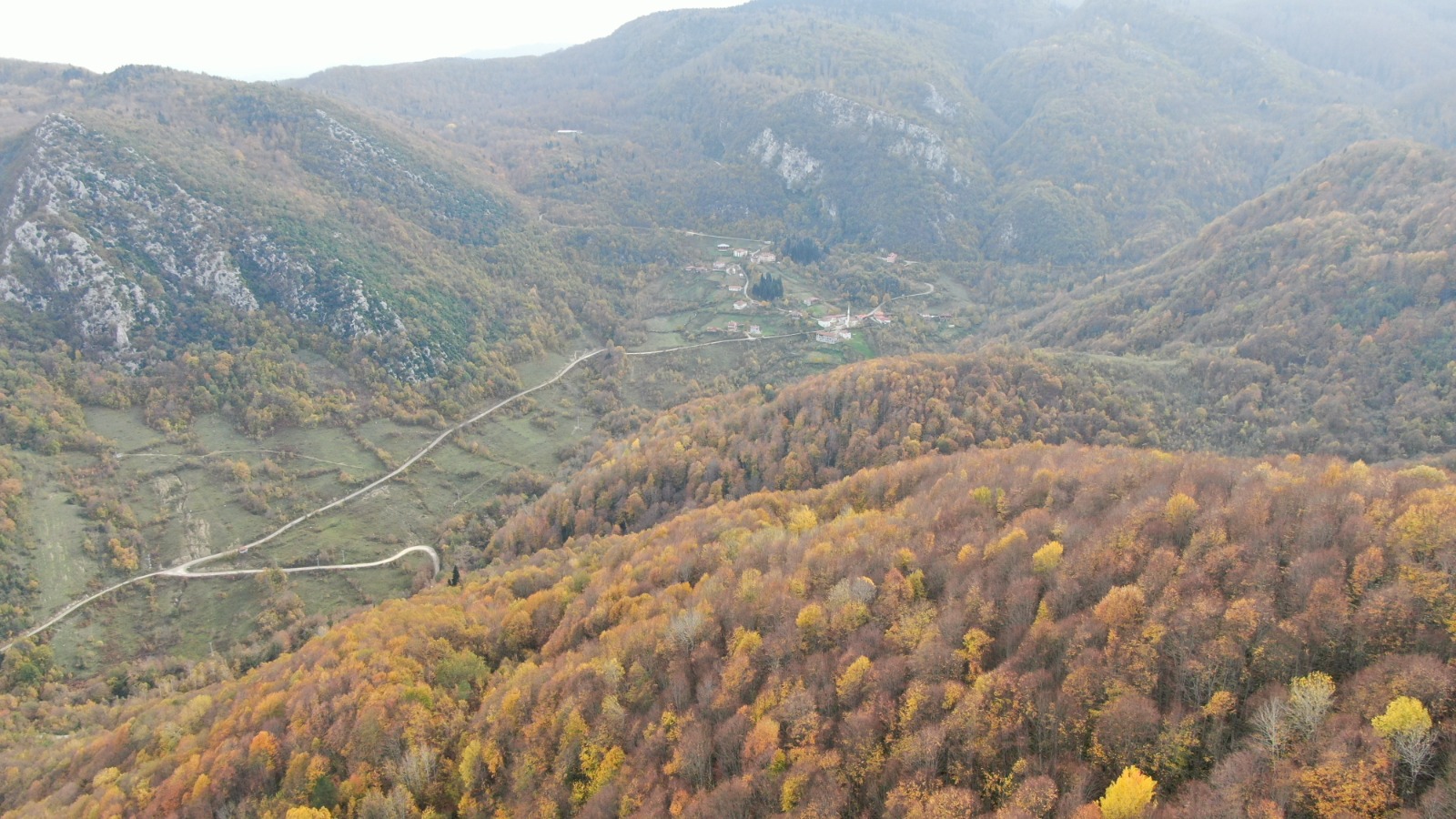 Kastamonu'da Sonbahara Bürünen Ormanlar Mest Ediyor 14