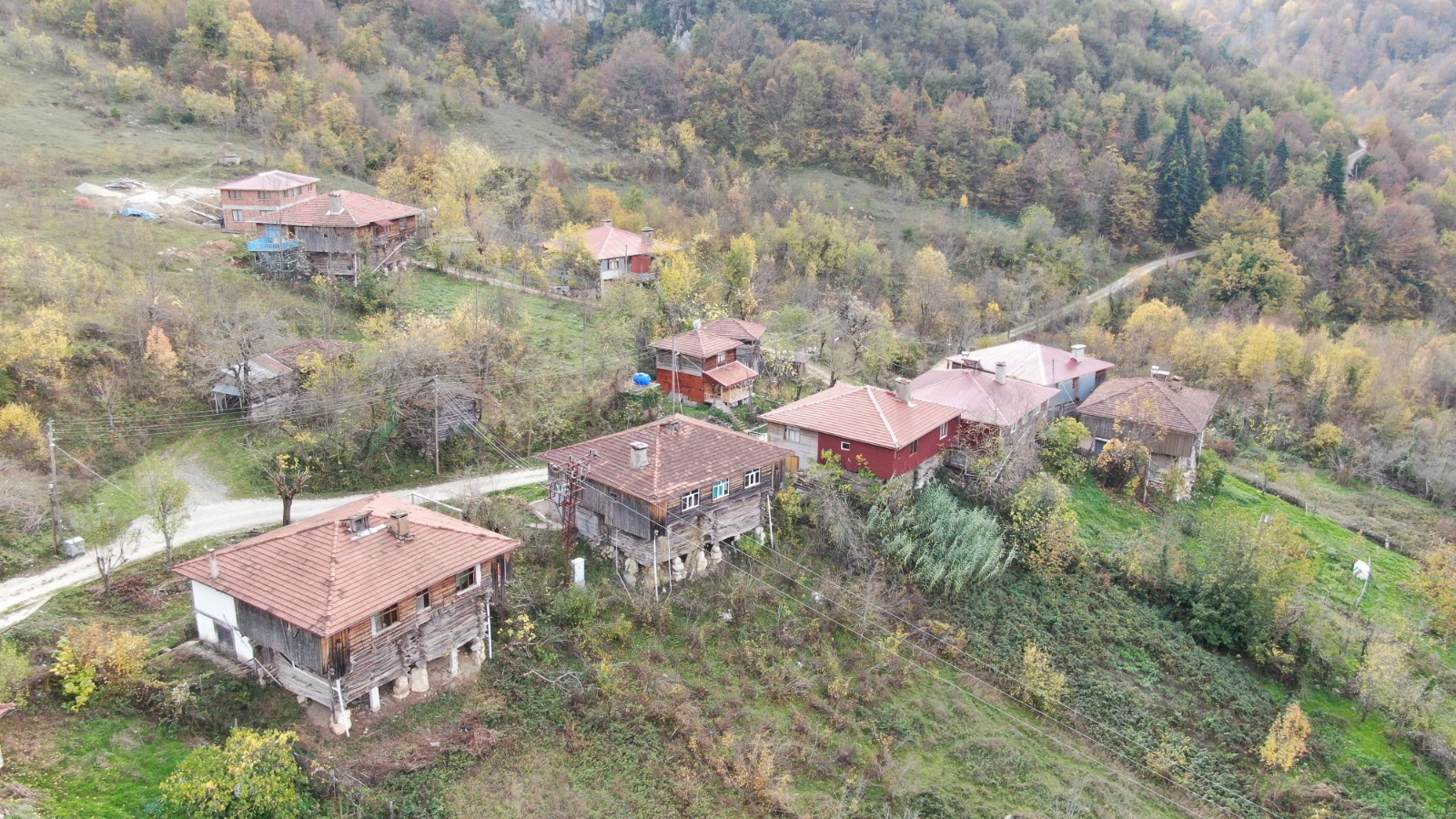 Kastamonu'da Sonbahara Bürünen Ormanlar Mest Ediyor 3