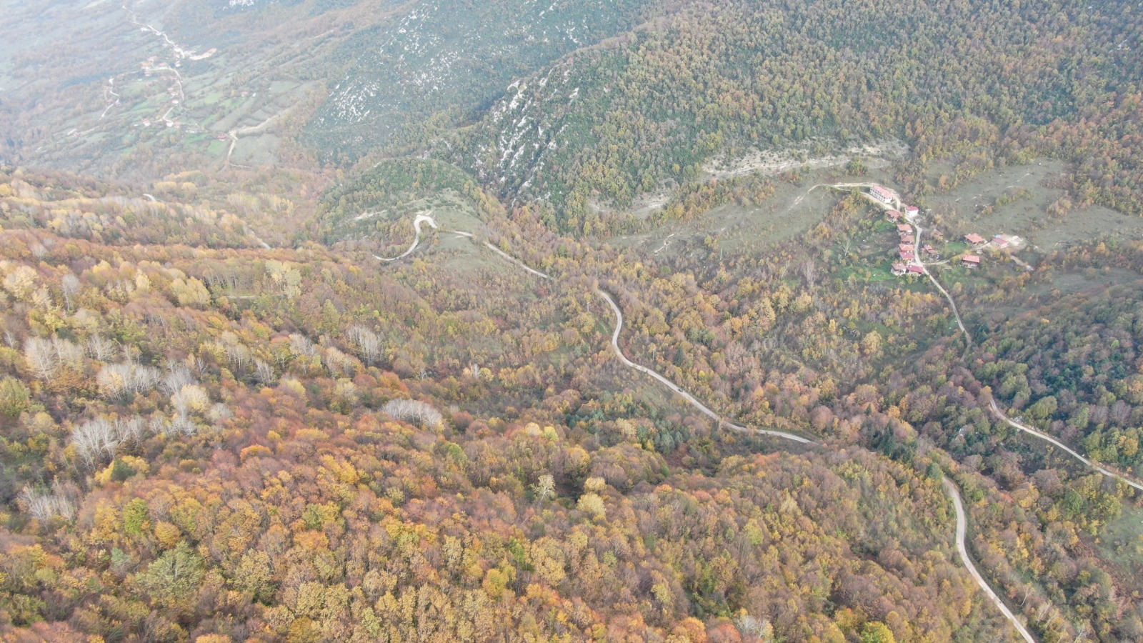 Kastamonu'da Sonbahara Bürünen Ormanlar Mest Ediyor 4