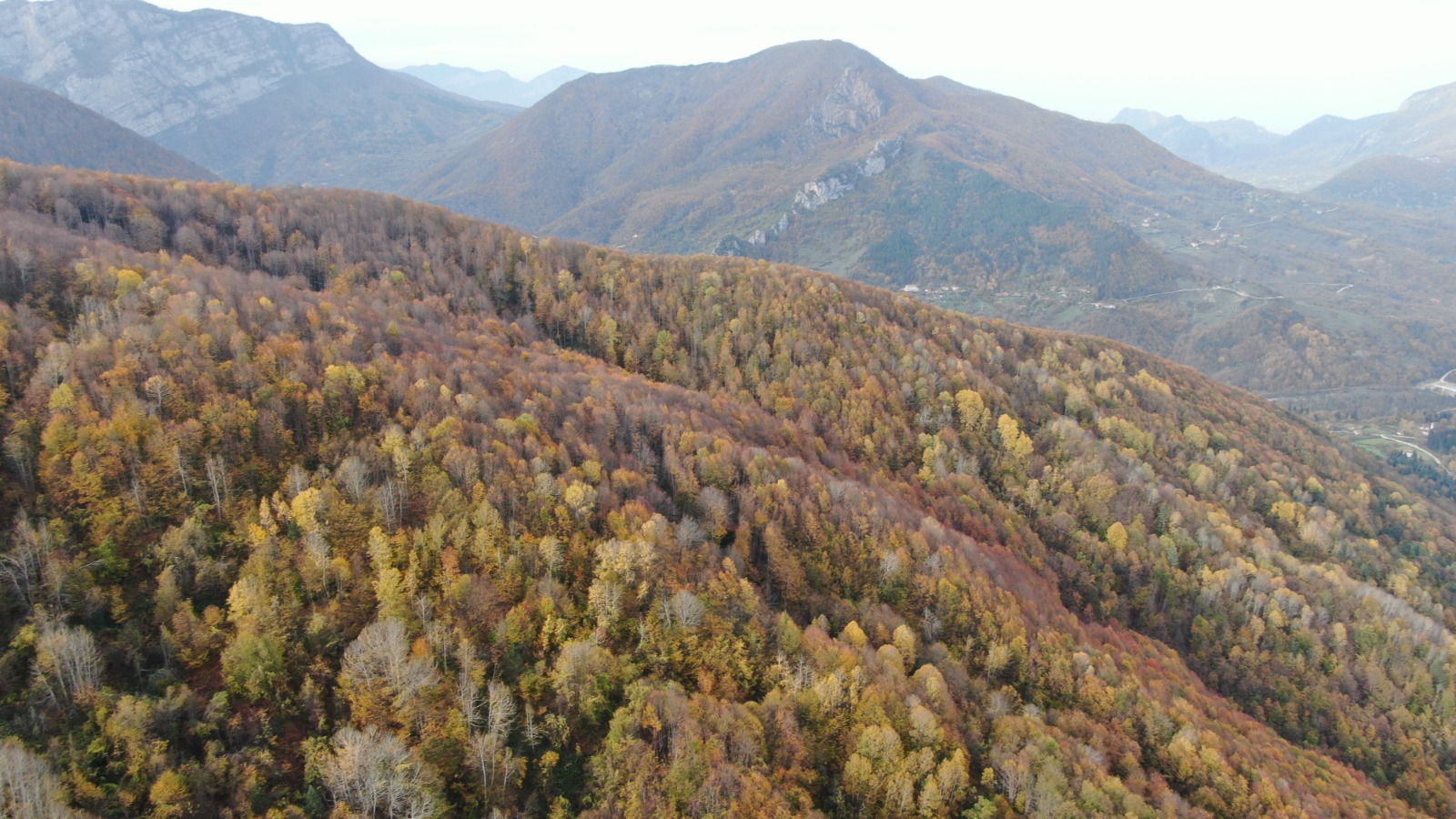Kastamonu'da Sonbahara Bürünen Ormanlar Mest Ediyor 44