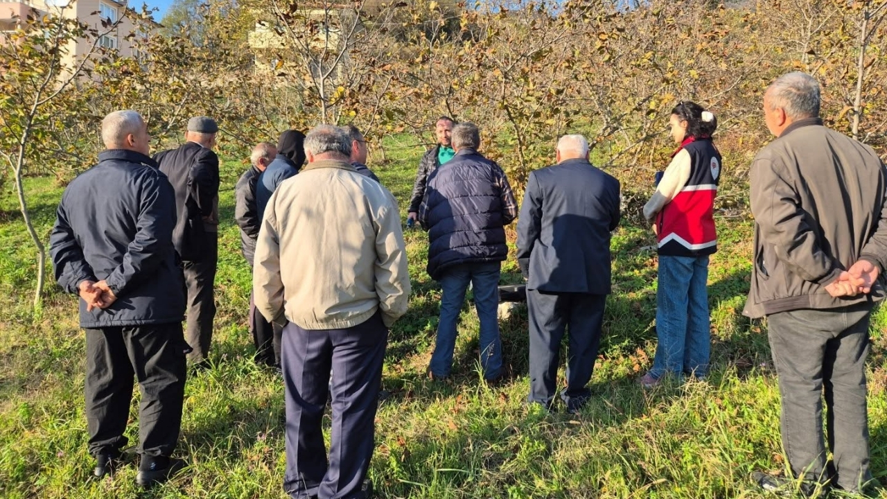 Kastamonu’da Üreticilere Budama Eğitimi (2)