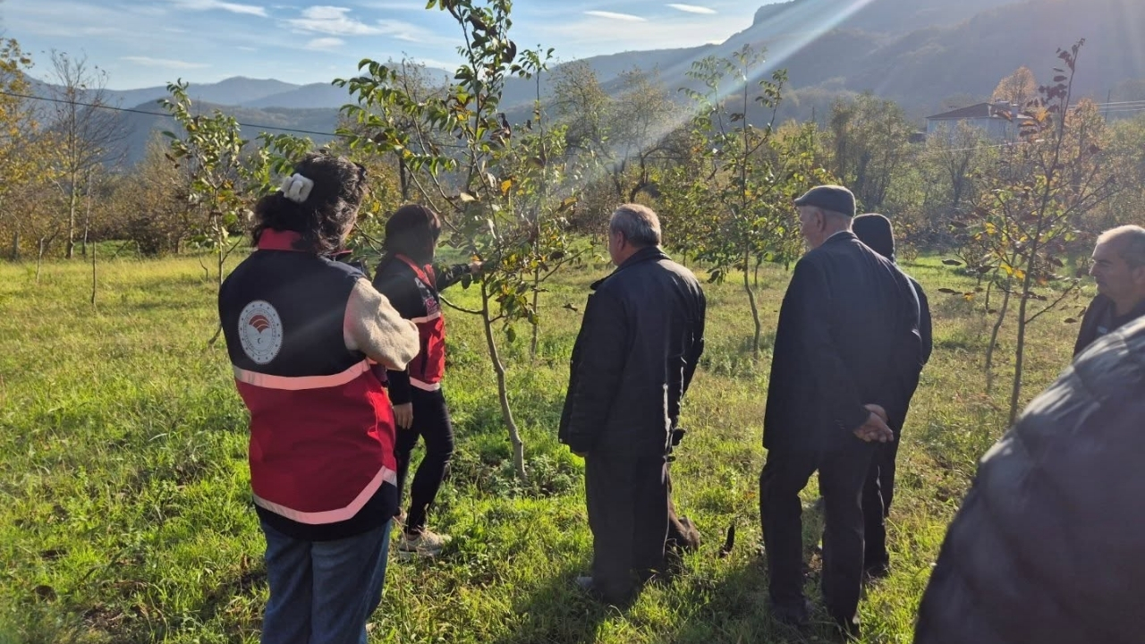 Kastamonu’da Üreticilere Budama Eğitimi (3)