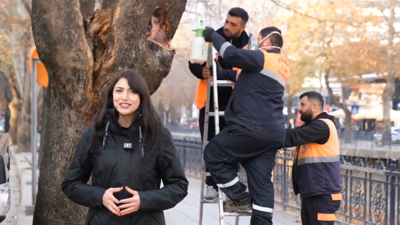 Kastamonu'da Yoğun Mesai Belediye Ekipleri Çalışmaları Hızlandırdı 12