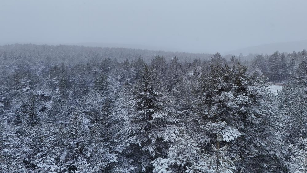 Kastamonu’da Yüksek Kesimler Kışa Teslim, Kar Etkili Oluyor (6)