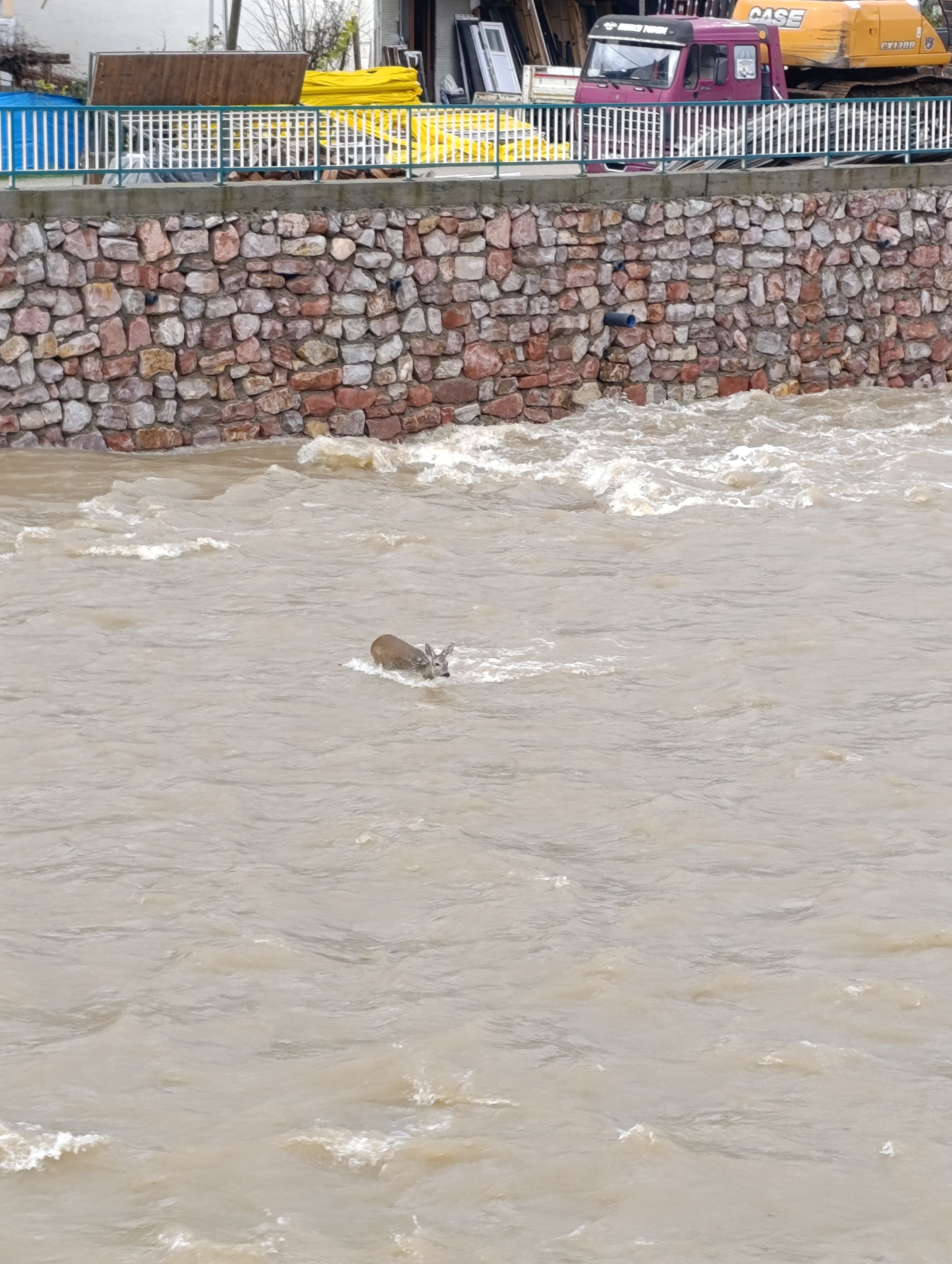 Kastamonu'nun Ilçesinde Çaya Düştü Dsi̇ Ekipleri Seferber Oldu! 22