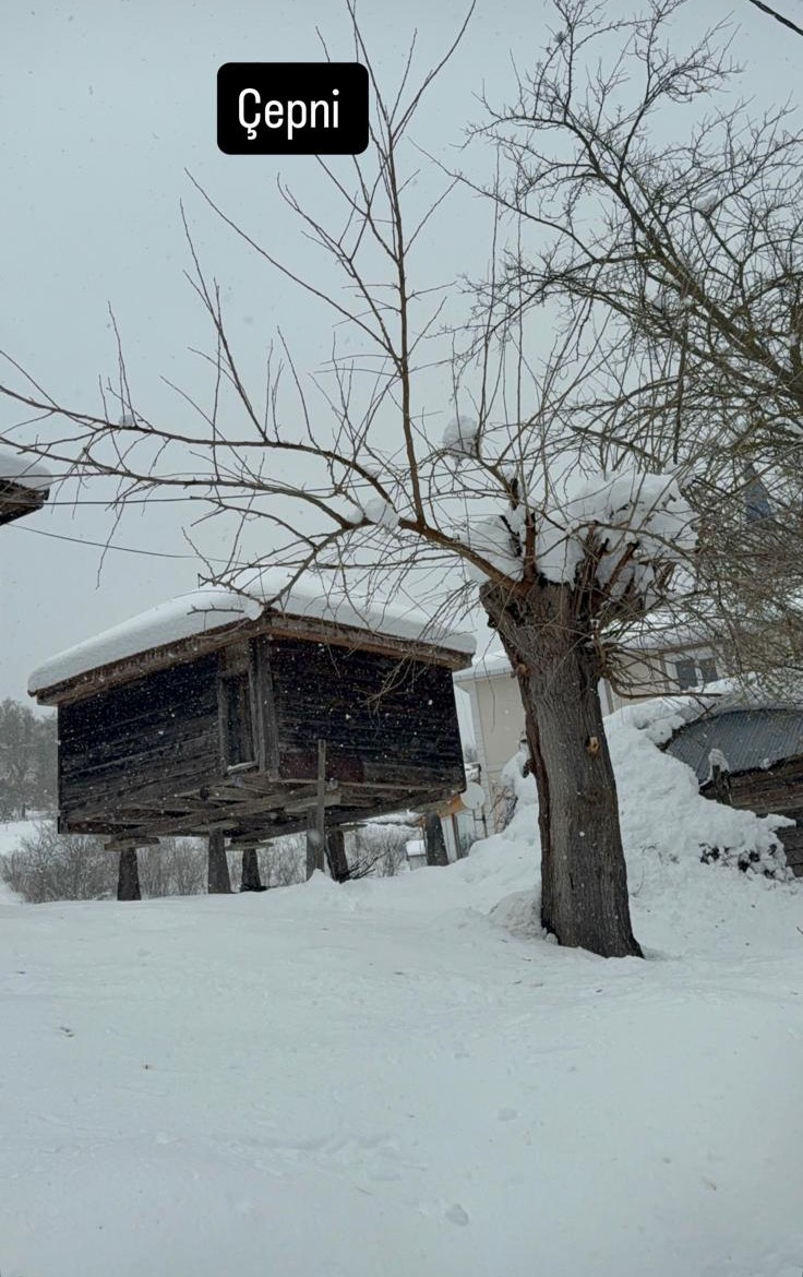 Kastamonu'nun Ilçesinde Kar Etkisini Artırdı! 36 Köy Yolu Kapandı Okullar 1 Gün Tatil Edildi! 2