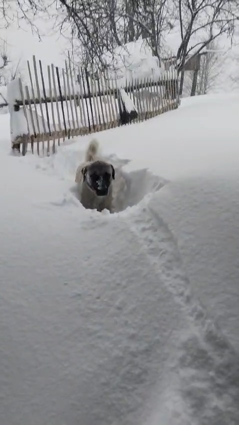 Kastamonu'nun Ilçesinde Kar Kalınlığı 2 Metreye Ulaştı 2